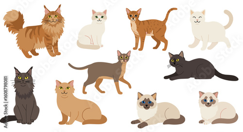 Colorful collection of various cat breeds in flat style