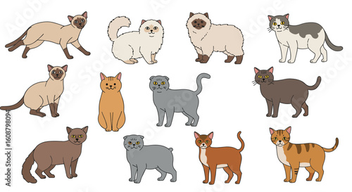 Diverse cat breeds collection in cute cartoon style