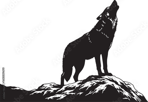 Black wolf howling on rocky terrain silhouette white, wolf, howling, silhouette, black, white, rock, mountain, nature, animal, wildlife, wild, predator, canine, mammal, outdoor, sky, landscape, freedo