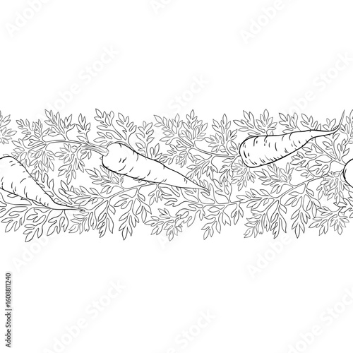 Carrot Branch with Flowers, Roots and Leaves Outline Horizontal Seamless Pattern. Organic natural nutritional healthy food ingredient, vegetarian diet product. Vector isolated for design or decoration
