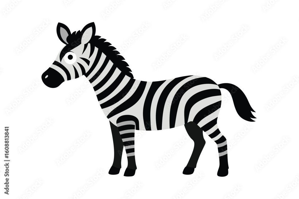 Obraz premium Zebra With Black And White Stripes Playful Pose On White