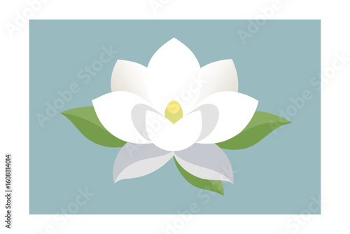 White Magnolia Flower Illustration Flat Style On White