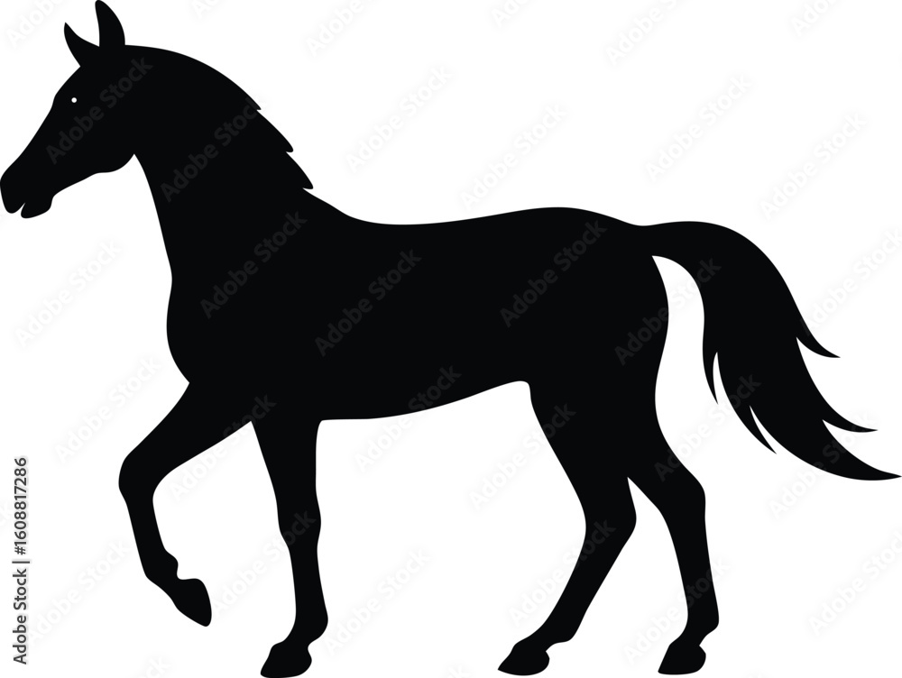 Obraz premium Black and white horse silhouette vector illustration design