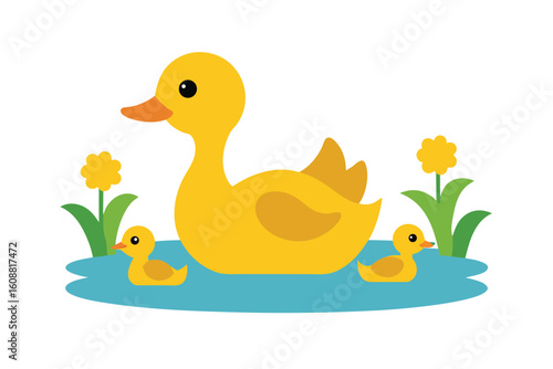 Mother Duck With Ducklings In Pond Sunny On White Background