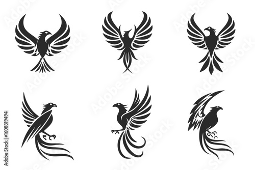 Various phoenix bird designs with outstretched wings, symbolizing resilience and eternal life