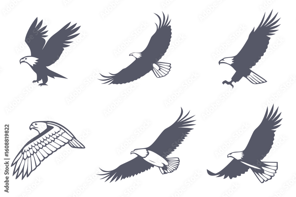 Fototapeta premium A collection of six eagle silhouettes in various flying poses, isolated on white background