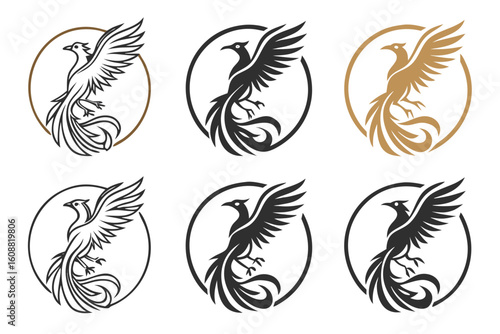 A set of phoenix bird illustrations in circles, isolated on white background, showcasing mythical firebird designs