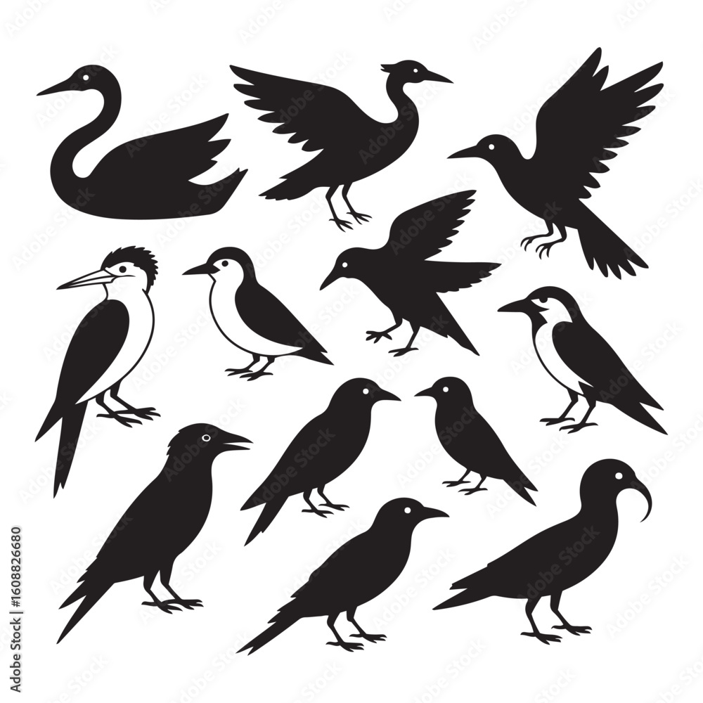 Naklejka premium Minimalist Bird Silhouettes Collection – Clean Black Shapes of Diverse Bird Species, Art & Illustration