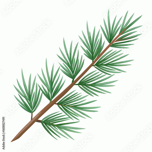 branch of a pine