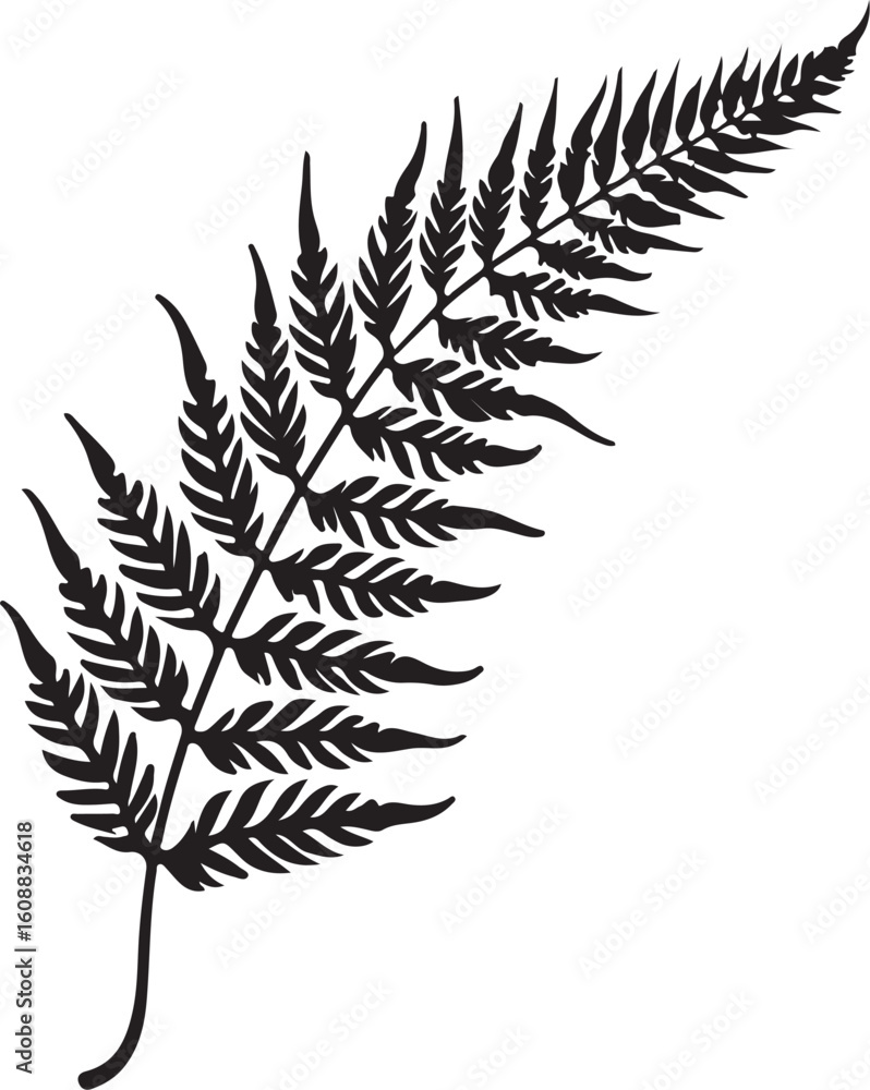 Naklejka premium 8 Fern Leaf Silhouette Bundle