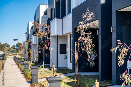Fototapeta Naklejka Na Ścianę i Meble -  Modern townhouses in a newly developed suburban street in Australia, featuring minimalist architecture, young eucalyptus trees, and small landscaped front gardens. Contemporary residential townhomes.