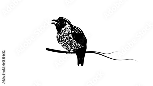 Poo-uli bird, black isolated silhouette