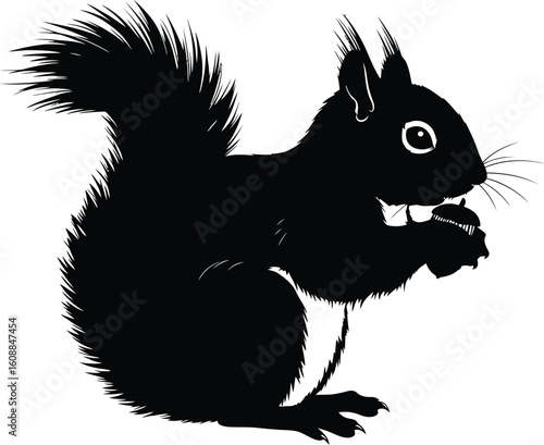 Cute Squirrel Eating Acorn Silhouette