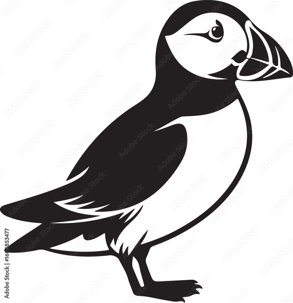 Fototapeta premium Atlantic Puffin Vector Illustration of Seabird with Colorful Beak Profile