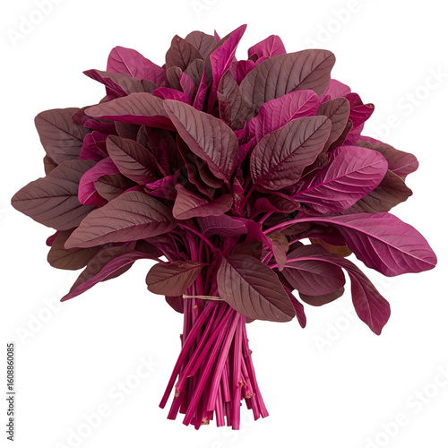 Vibrant Bunch of Red Amaranth Leaves Freshly Harvested A Colorful and Nutritious Addition to Any Meal