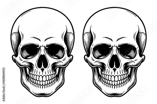 Skull profile vector with detailed human skull profiles is great for Halloween designs, medical illustrations, or rock band album covers.