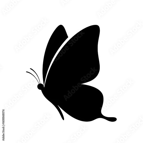 Butterfly silhouette design illustration