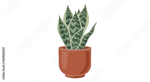 Illustration of a snake plant in a pot, showcasing its textured leaves and earthy tones, conveying