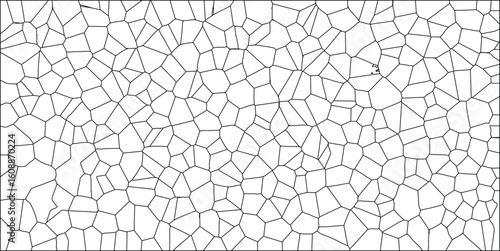 Abstract geometric cellular pattern in black and white illustrating a complex mosaic of irregular cells for graphic design and backgrounds