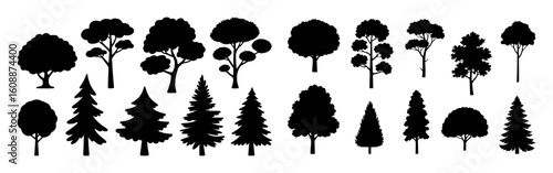 Diverse tree silhouettes black on white background trees nature