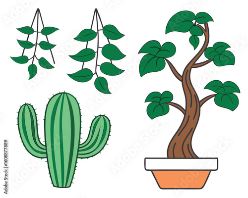 Simple vector illustrations of various indoor and outdoor green plants and decorative foliage.