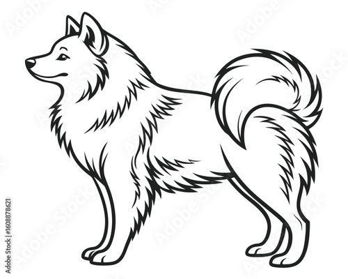 Elegant black and white illustration of a standing spitz dog breed profile.