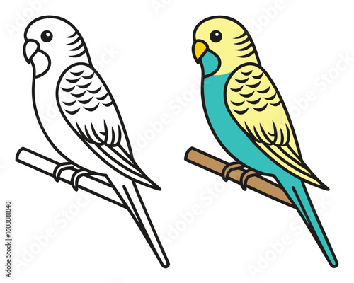 Adorable cartoon illustration of a budgerigar or parakeet in outline and colorful versions.