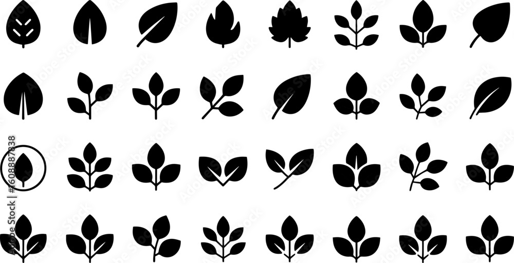 Fototapeta premium Leaves and Branches Vector Set – Minimal Botanical Silhouettes Collection