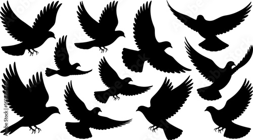 Silhouette Flock of Birds Flying Isolated on White Background – Minimal Nature Vector Design