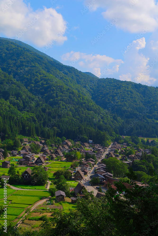 Fototapeta premium 【白川郷】展望台からの景色
