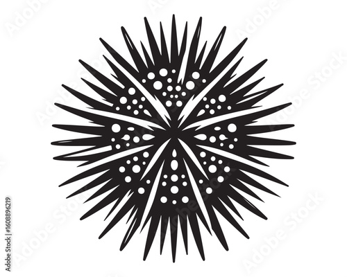 Sea Urchin 3.eps