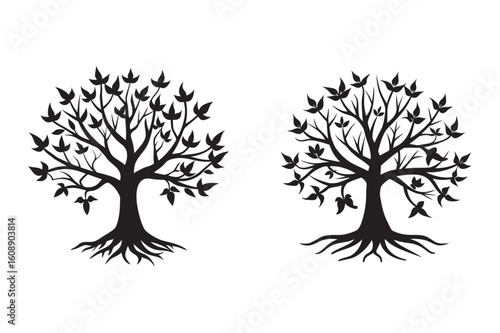 wide rooted oak tree silhouette set bundle on white backgound