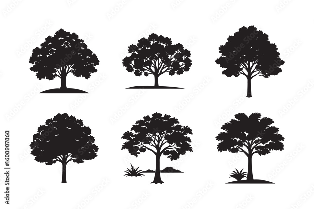 Fototapeta premium silhouette old teak tree set bundle on white background