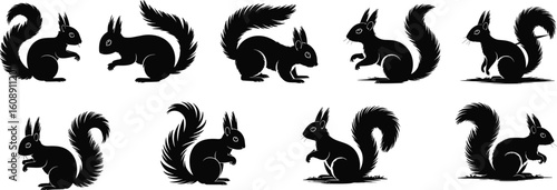 Cartoon squirrel silhouette vector set, bushy tail rodent illustration, sitting and standing poses, forest animal design, black cute wildlife icon

 flat vector illustration