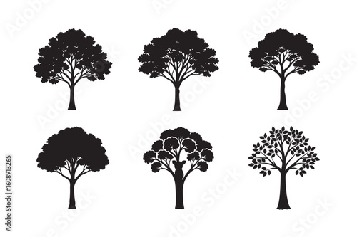 silhouette eucalyptus tree with koala set bundle on white backgound
