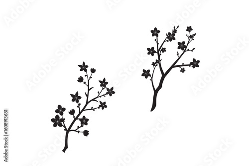 silhouette branch of cherry tree with flowers set.