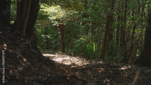 熊野古道・大辺路「長井坂」和歌山県すさみ町　Historic Nagaizaka Path on the Kumano Kodo Ohechi Route – Susami town, Wakayama Prefecture