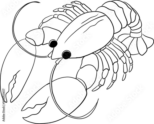 Illustration of a Crawfish 