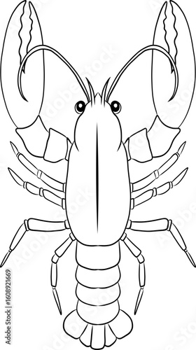 Illustration crawfish Line Art