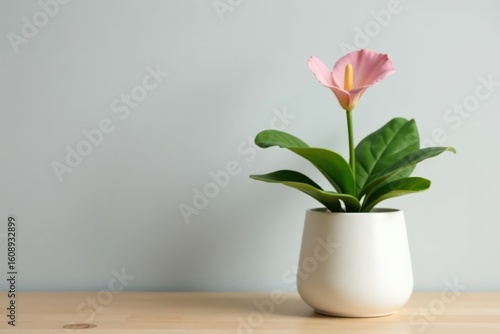 Wallpaper Mural A single pink flower in a simple white pot, resting on a light wood surface against a muted background. Torontodigital.ca