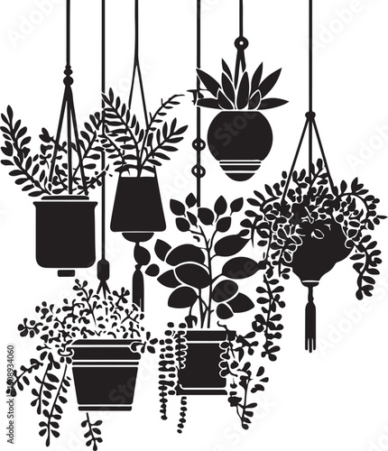 Black silhouette hanging houseplants on white background