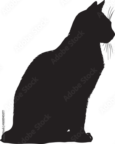 Silhouette of a fluffy black cat sitting patiently