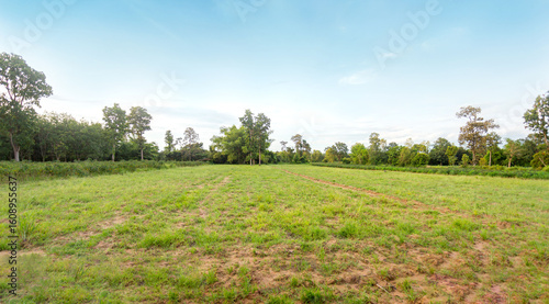 Empty dry cracked swamp reclamation soil, land plot for housing construction Green meadow, beautiful views and beautiful blue sky with fresh air Land for sales landscape concept.