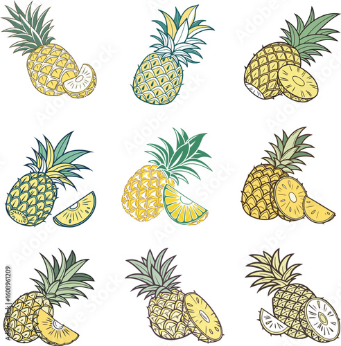 Pineapple icon set vector, Adobe Illustrator Artwork