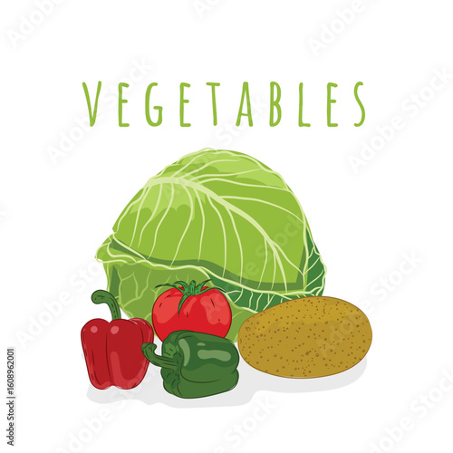 organic food pictures, cabbage, tomatoes, peppers and potatoes, vector