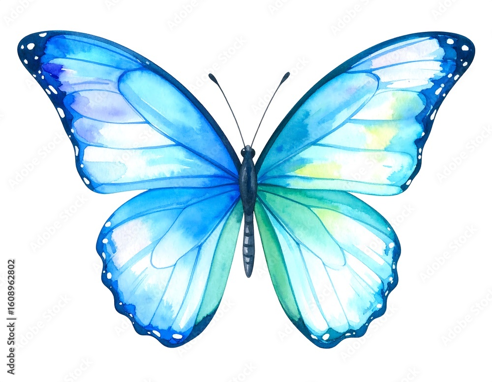 Obraz premium Watercolor Butterfly Illustration with Delicate Blue and Green Wings on White