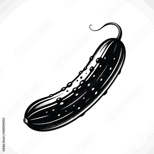 Hand drawn illustration of a single fresh cucumber with spines