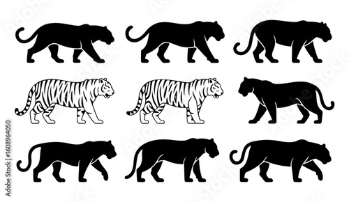 Tiger Silhouette and Stripe Pattern Vector Set Big Cat Walking Profile Graphics

