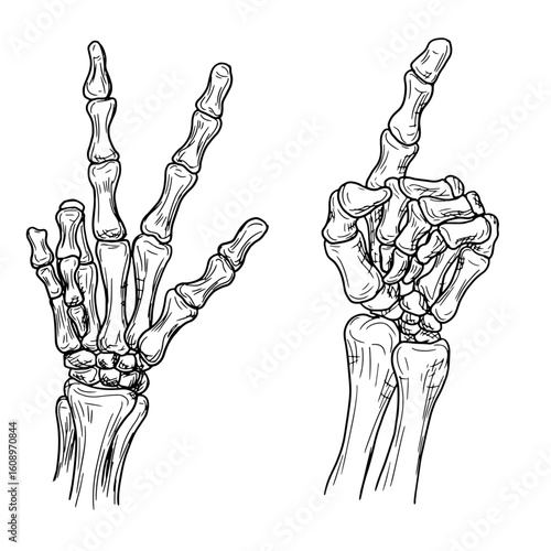 Skeleton's hand points with bony finger, set of silhouettes, black-and-white sketch. Vector illustration. Hand of dead man, isolated on white background. For prints, stickers, Halloween greeting cards