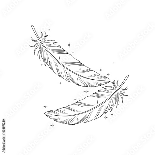 Minimalist line drawing of two overlapping feathers gently falling, with light sparkles and smooth flowing lines. Thin black ink